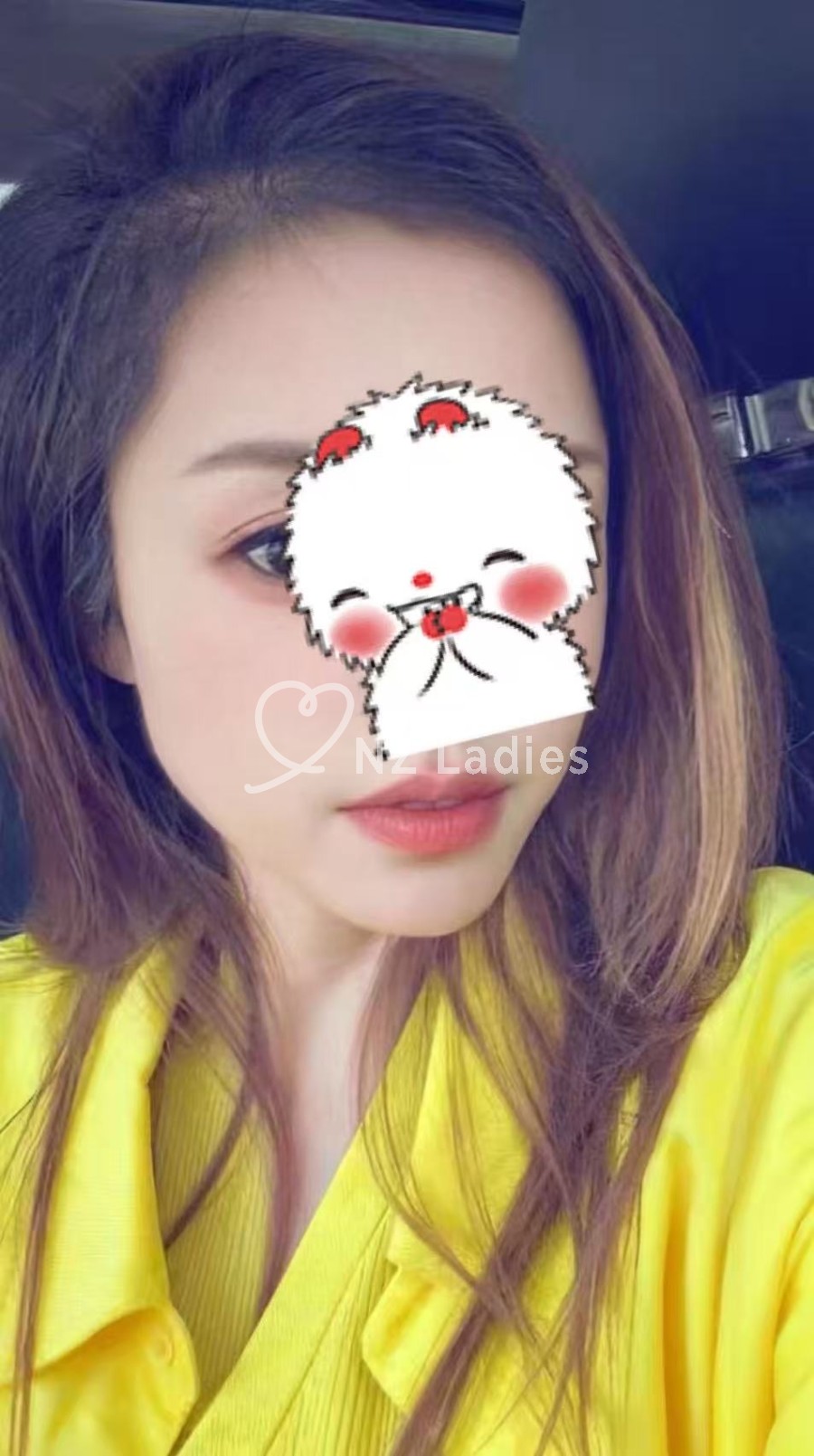 ViVi